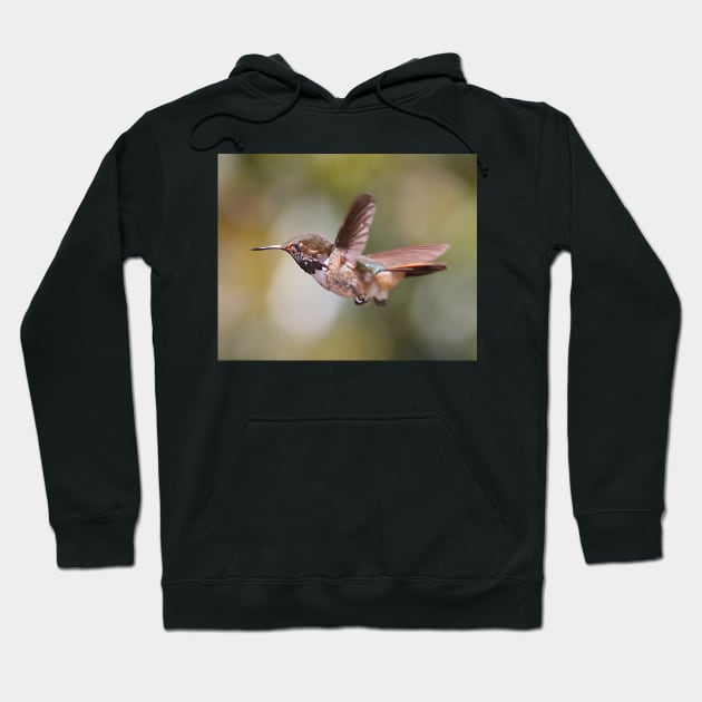 Scintillant Hummingbird Hoodie by Carole-Anne